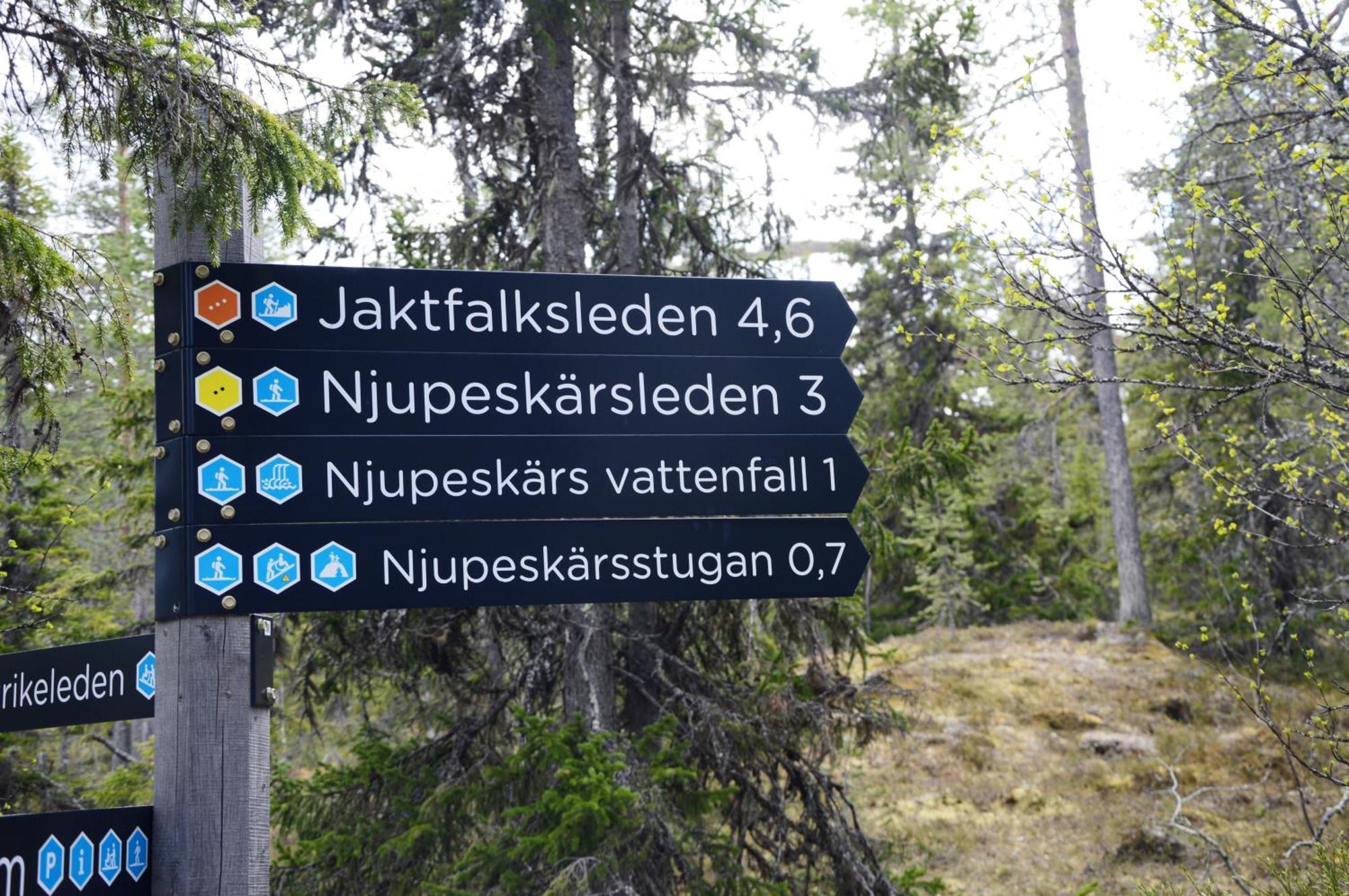 16 - Fulufjellets Nasjonalparker - Natur-, Dyre- Og Fugleopplevelser Ljørdal Exteriör bild