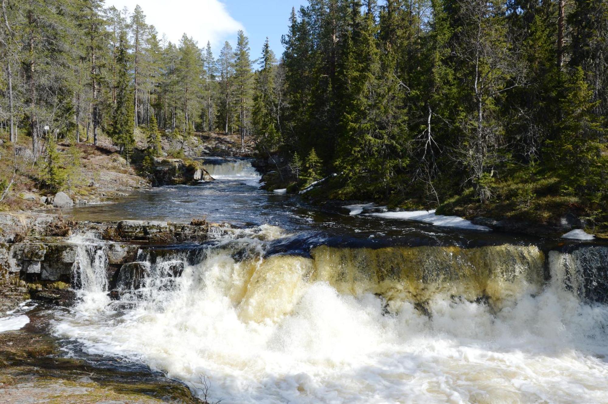 16 - Fulufjellets Nasjonalparker - Natur-, Dyre- Og Fugleopplevelser Ljørdal Exteriör bild