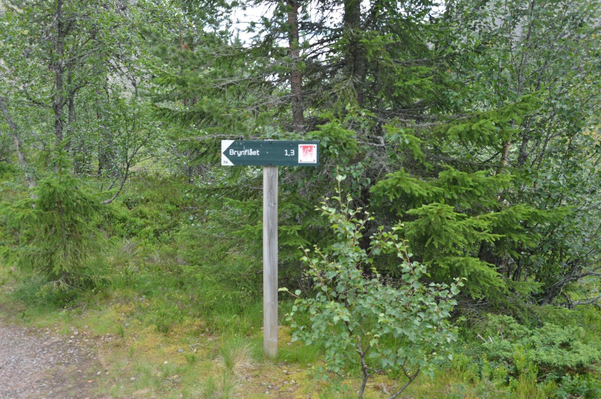 16 - Fulufjellets Nasjonalparker - Natur-, Dyre- Og Fugleopplevelser Ljørdal Exteriör bild