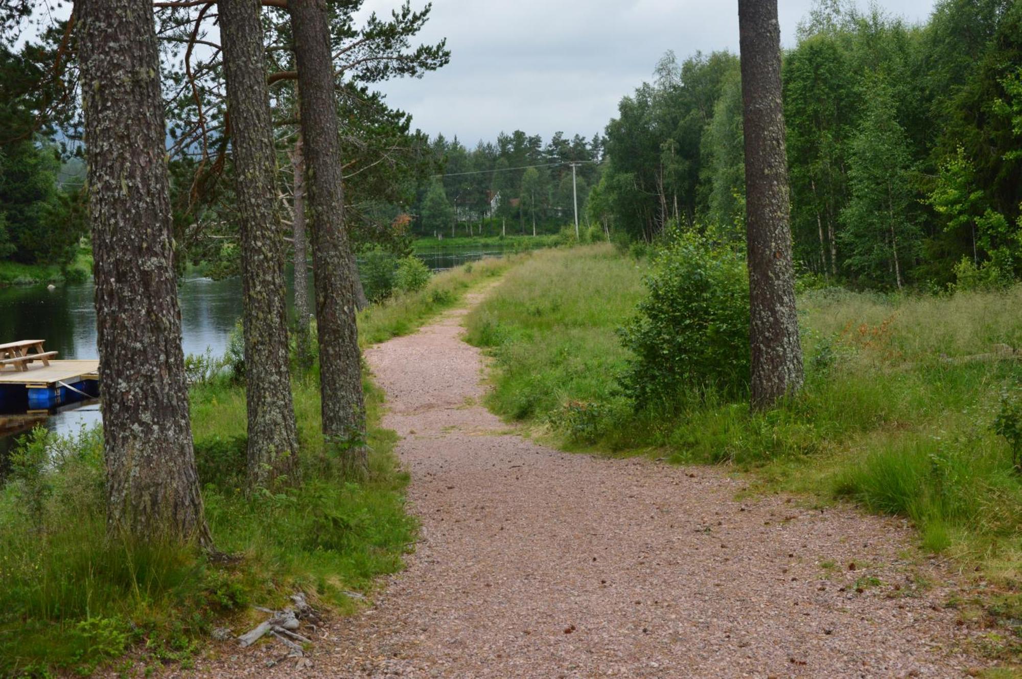 16 - Fulufjellets Nasjonalparker - Natur-, Dyre- Og Fugleopplevelser Ljørdal Exteriör bild