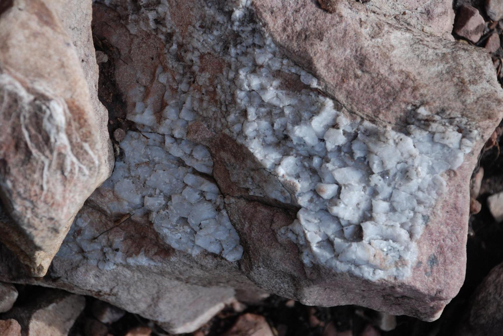 16 - Fulufjellets Nasjonalparker - Natur-, Dyre- Og Fugleopplevelser Ljørdal Exteriör bild