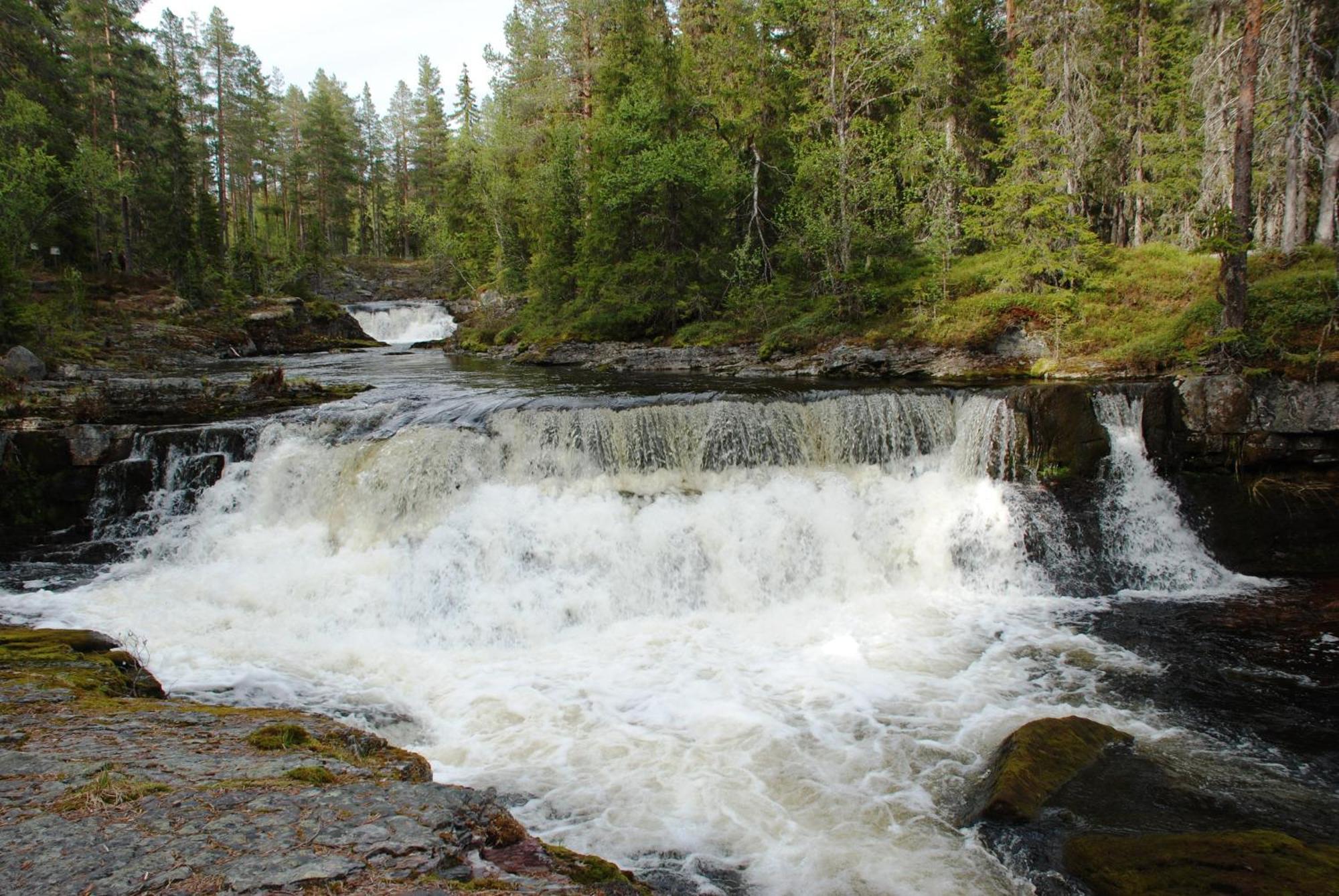 16 - Fulufjellets Nasjonalparker - Natur-, Dyre- Og Fugleopplevelser Ljørdal Exteriör bild
